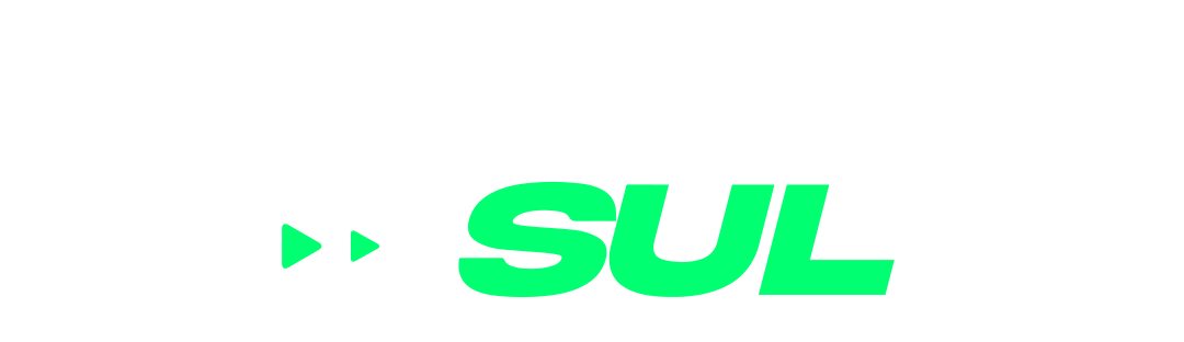 Logo Selfie Sul